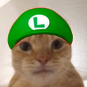 catLuigi emote