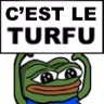 pepe_turfu emote