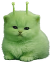 chudlorp emote