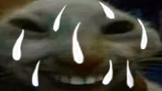 xddCum emote