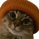 CatInABeanie emote