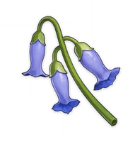 Item_Violetgrass emote