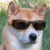 cooldoggo emote