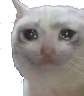 crying_cat static emote