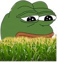 FeelsCornMan emote