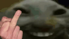 xddmiddlefinger emote