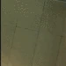 Punch_camera emote