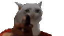 sadcat_shoot emote