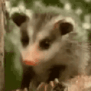 possJAM