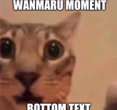 WanmaruMoment emote