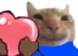 catLove emote