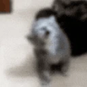 sleepy emote