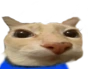 otagi emote