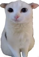 isaac emote