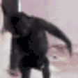 Monke animated emote
