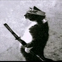 samuraiCat static emote