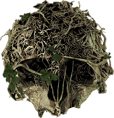 theforest emote