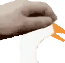 PETTHEGOOSE emote
