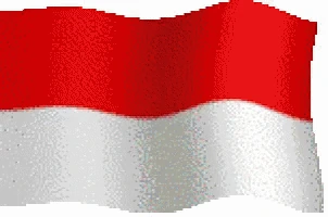 indonesia_flag emote