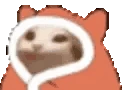 popCatBlankies emote