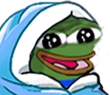 pepe_blanket emote
