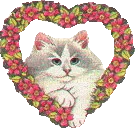 Catheart emote