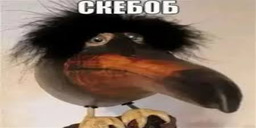 skebob static emote