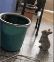 imTrash emote