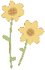 TinyYellowFlowers emote