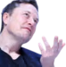 elonwtf emote