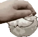 PetThePoro emote