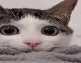 think emote