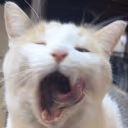 eepy emote