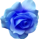 blue_flower emote