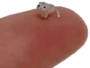 elwiwi emote
