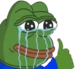 pepethumbsup emote