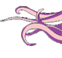 tentaclesL animated emote