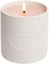 candlecute emote