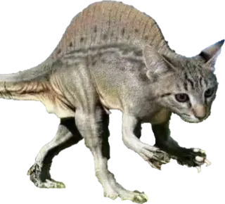 cat emote