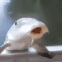 Sip emote