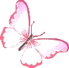 pinkbutterfly emote