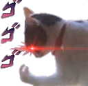 catto_dio emote