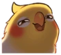 Birb_Hehe emote