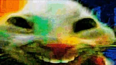 xddTrip emote