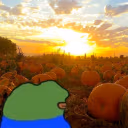 Life emote