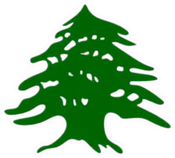 961 emote
