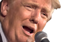 TrumpSpeech emote