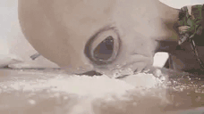 ALIEN animated emote