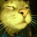 catRAVE emote
