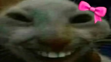 cutexdd emote